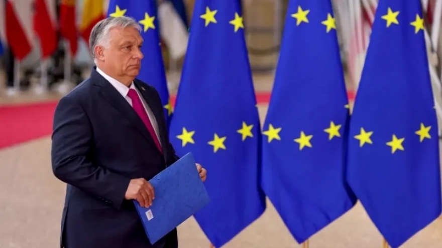 Hungary cảnh báo Thế chiến III nếu Ukraine gia nhập NATO